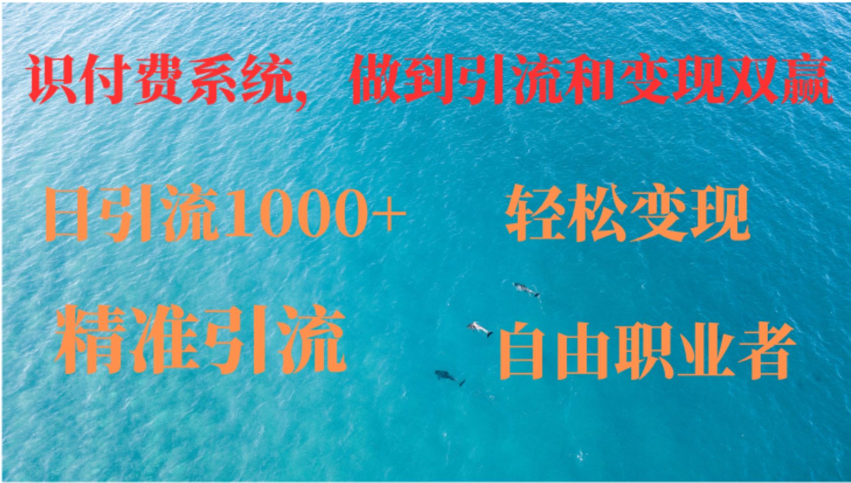 如何搭建自己的知识付费系统，做到引流和变现双赢-猴哥VIP资源站