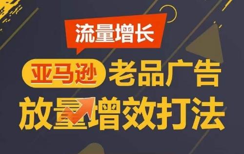 流量增长 亚马逊老品广告放量增效打法，短期内广告销量翻倍-猴哥VIP资源站