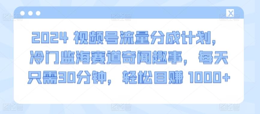 2024视频号流量分成计划，冷门监海赛道奇闻趣事，每天只需30分钟，轻松目赚 1000+【揭秘】-猴哥VIP资源站