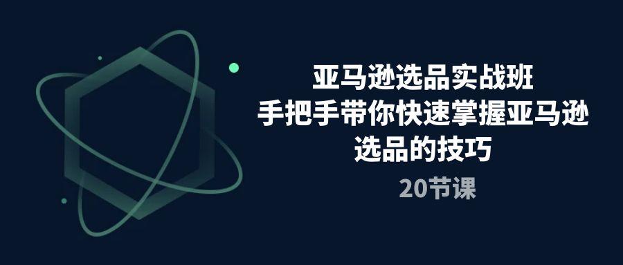 亚马逊选品实战班，手把手带你快速掌握亚马逊选品的技巧(20节课-猴哥VIP资源站