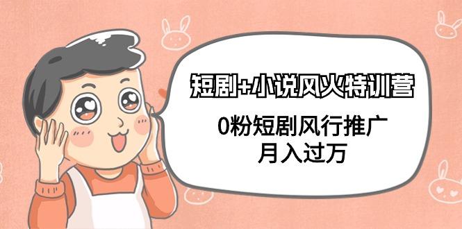 (9374期)短剧+小说风火特训营，0粉短剧风行推广，月入过万(102节课)-猴哥VIP资源站