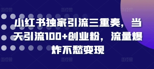 小红书独家引流三重奏，当天引流100+创业粉，流量爆炸不愁变现【揭秘】-猴哥VIP资源站