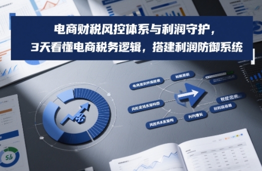 电商财税风控体系与利润守护，3天看懂电商税务逻辑，搭建利润防御系统-猴哥VIP资源站