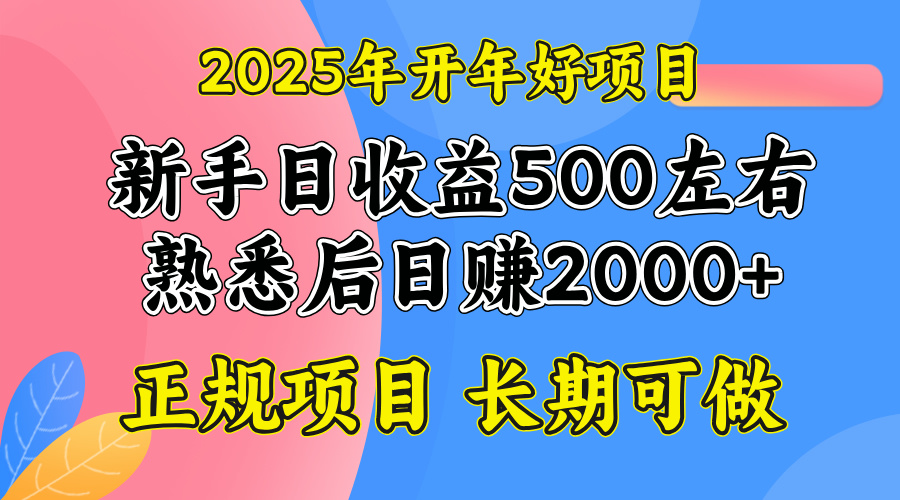 2025开年好项目,单号日收益2000左右-猴哥VIP资源站