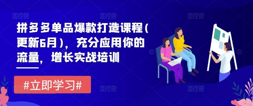 拼多多单品爆款打造课程(更新6月)，充分应用你的流量，增长实战培训-猴哥VIP资源站