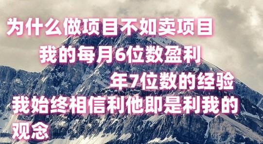 做项目不如卖项目，每月6位数盈利，年7位数经验-猴哥VIP资源站