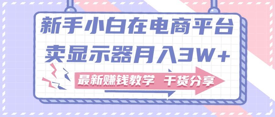 新手小白如何做到在电商平台卖显示器月入3W+,最新赚钱教学干货分享-猴哥VIP资源站