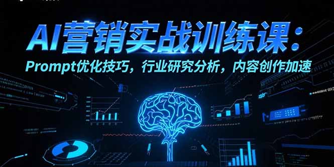 AI营销实战训练课：Prompt优化技巧，行业研究分析，内容创作加速-猴哥VIP资源站