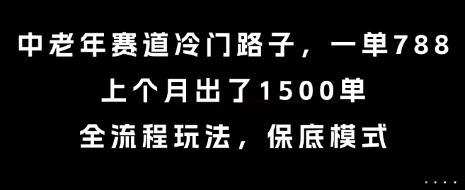 中老年赛道冷门路子,一单788,上个月出了1500单,全流程玩法,保底模式【揭秘】-猴哥VIP资源站