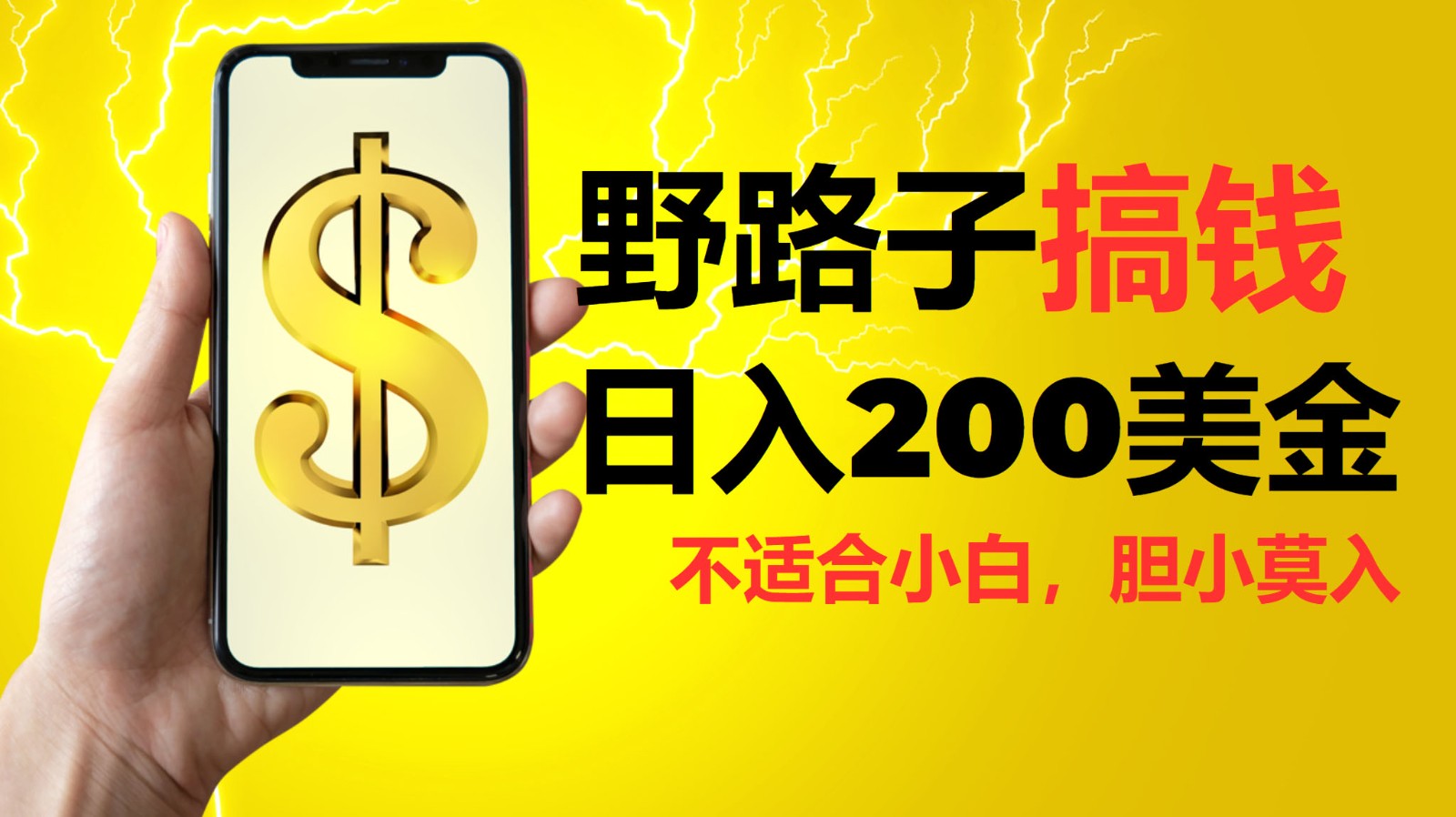 挂机野路子搞钱，日入200美金，路子很野，小白莫入-猴哥VIP资源站