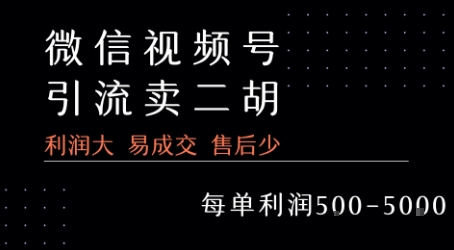 视频号卖二胡教程，利润大 易成交 售后少，一单利润5张+-猴哥VIP资源站