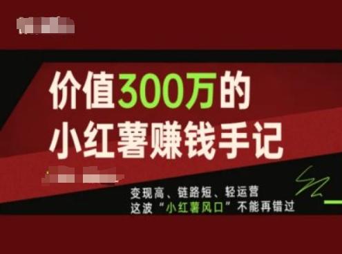 价值300万的小红书赚钱手记，变现高、链路短、轻运营，这波“小红薯风口”不能再错过-猴哥VIP资源站