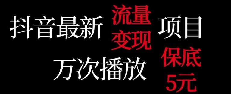 抖音流量变现，万次播放保底5元，额外收入-猴哥VIP资源站