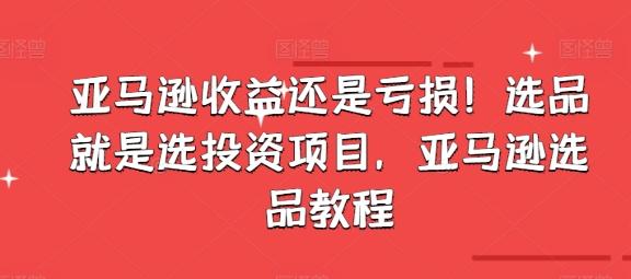 亚马逊收益还是亏损!选品就是选投资项目,亚马逊选品教程-猴哥VIP资源站