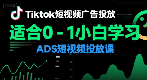 Tiktok短视频广告投放，适合0-1小白学习ADS短视频投放课-猴哥VIP资源站