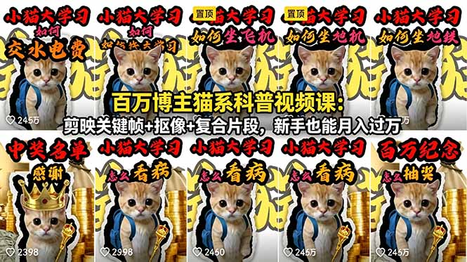百万博主猫系科普视频课：剪映关键帧+抠像+复合片段，新手也能月入过万-猴哥VIP资源站