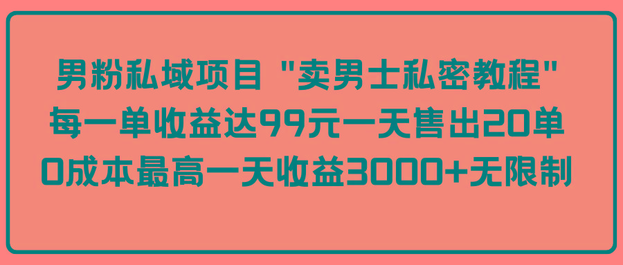 (9730期)男粉私域项目 “卖男士私密教程” 每一单收益达99元一天售出20单-猴哥VIP资源站