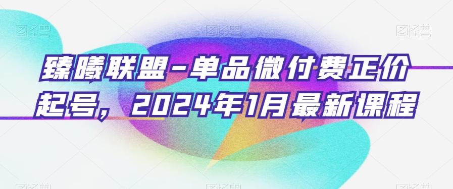 臻曦联盟-单品微付费正价起号,2024年1月最新课程-猴哥VIP资源站