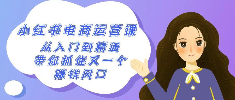2024小红书电商运营课，从入门到精通，带你抓住又一个赚钱风口(50节课)-猴哥VIP资源站