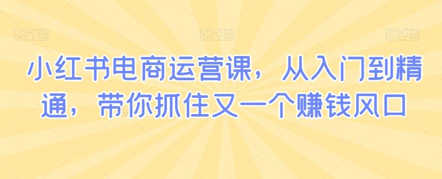 小红书电商运营课,从入门到精通,带你抓住又一个赚钱风口-猴哥VIP资源站