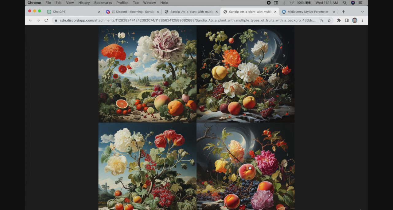图片[1]-ChatGPT4 和 MidJourney AI 绘画聊天革命性指南教程-33节视频课-中英字幕-猴哥VIP资源站