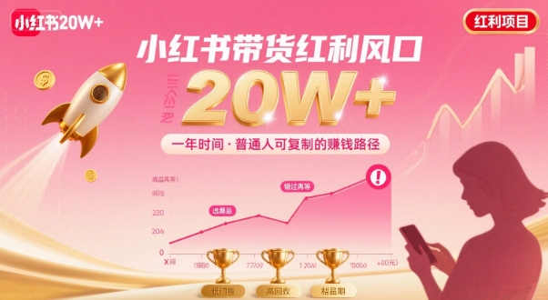 一年时间靠小红书带货项目年入20w+,最不能错的大红利项目-猴哥VIP资源站