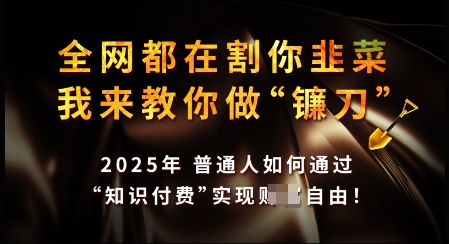 知识付费如何做到月入过W+,2025我来教你做“镰刀”【揭秘】-猴哥VIP资源站
