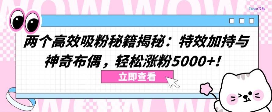 两个高效吸粉秘籍揭秘:特效加持与神奇布偶,轻松涨粉5000+【揭秘】-猴哥VIP资源站
