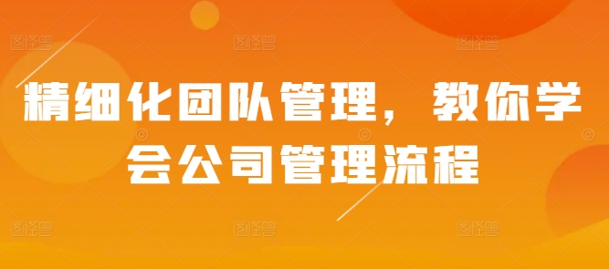 精细化团队管理，教你学会公司管理流程-猴哥VIP资源站