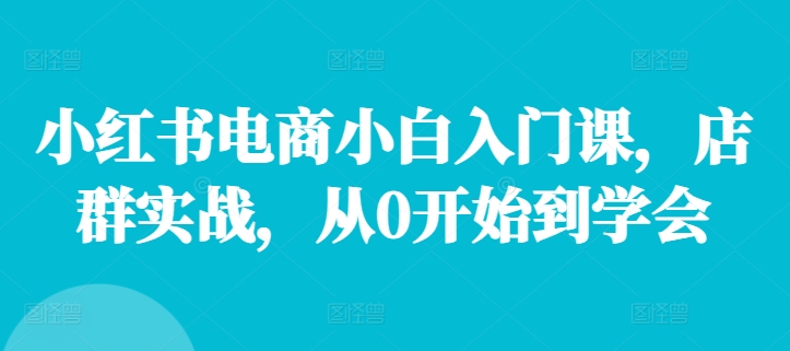 小红书电商小白入门课，店群实战，从0开始到学会-猴哥VIP资源站