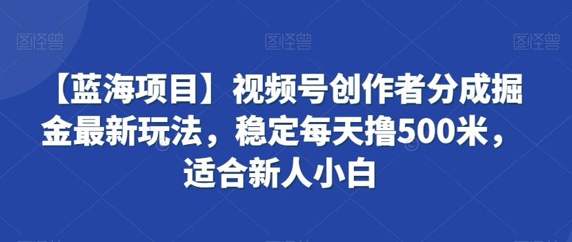 【蓝海项目】视频号创作者分成掘金最新玩法,稳定每天撸500米,适合新人小白【揭秘】-猴哥VIP资源站