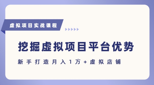 抓住虚拟项目各平台优势，新手轻松月入1W+(给出具体建议)-猴哥VIP资源站