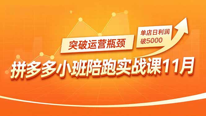 拼多多小班陪跑实战课11月,强付费矩阵、原价活动、暗券引流,突破运营瓶颈,单店日利润破5000-猴哥VIP资源站