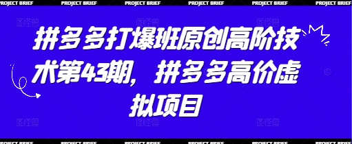 拼多多打爆班原创高阶技术第43期，拼多多高价虚拟项目-猴哥VIP资源站