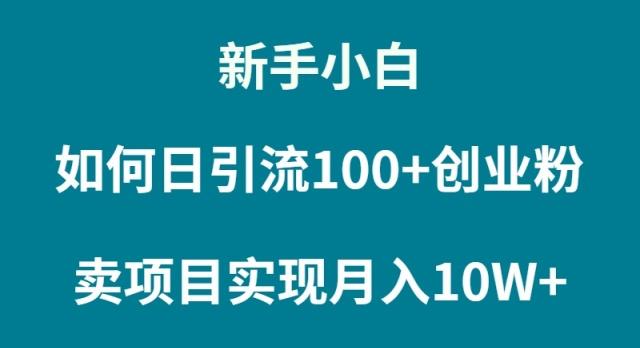 (9556期)新手小白如何通过卖项目实现月入10W+-猴哥VIP资源站