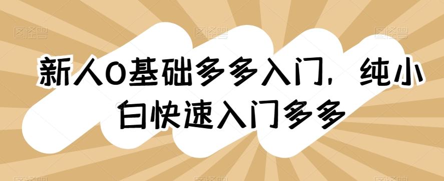 新人0基础多多入门，​纯小白快速入门多多-猴哥VIP资源站