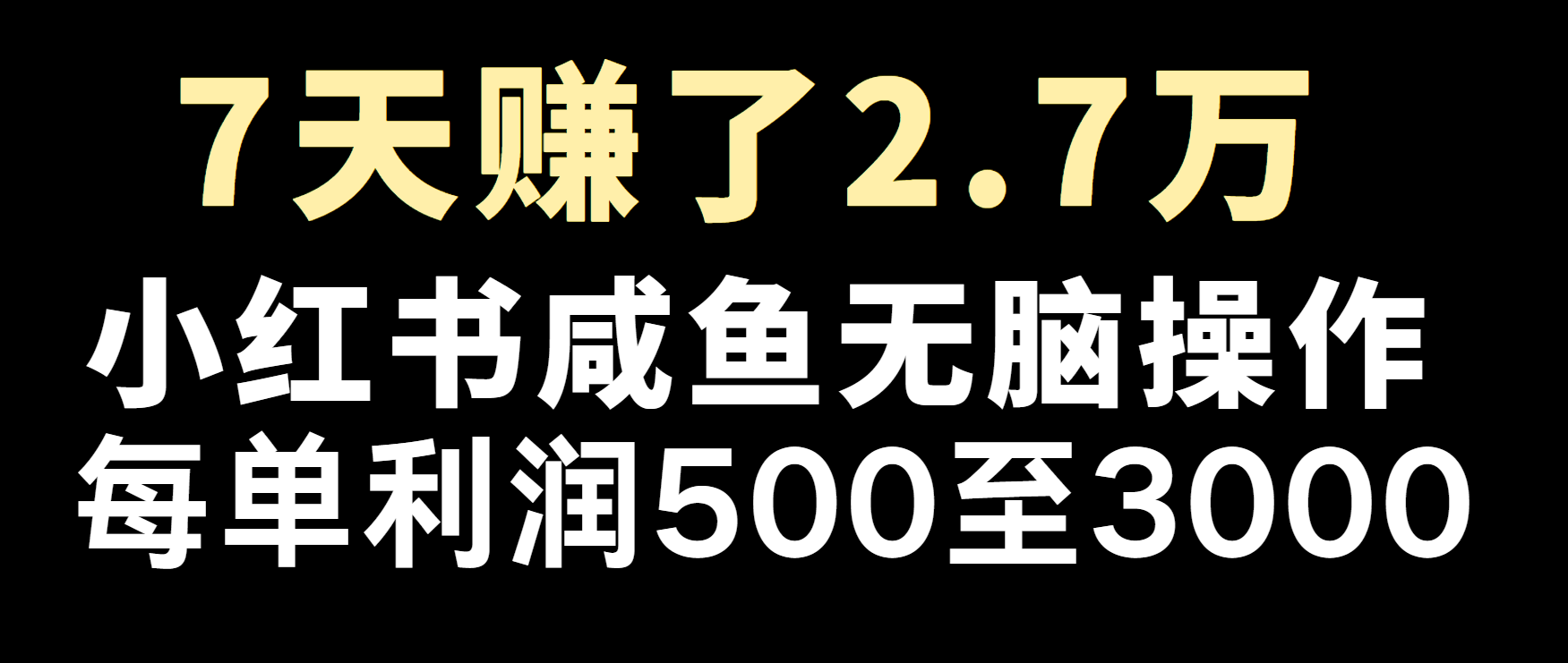冷门暴利，超级简单的项目0成本玩法，每单在500至4000的利润-猴哥VIP资源站