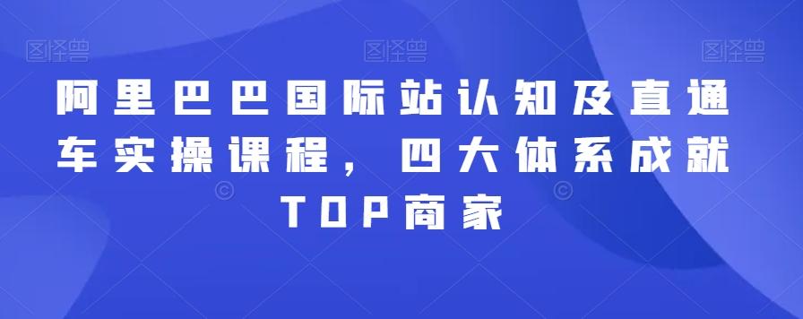 阿里巴巴国际站认知及直通车实操课程，四大体系成就TOP商家-猴哥VIP资源站