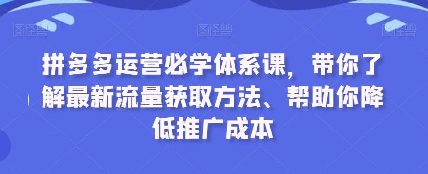 拼多多运营必学体系课，带你了解最新流量获取方法、帮助你降低推广成本-猴哥VIP资源站