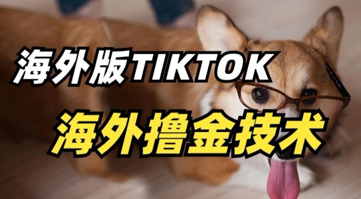 抖音海外版tiktok撸金技术，这个风口行业，赚钱真的不难【揭秘】-猴哥VIP资源站