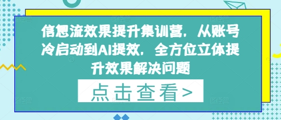信息流效果提升集训营，从账号冷启动到AI提效，全方位立体提升效果解决问题-猴哥VIP资源站