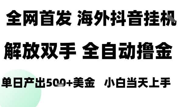 海外抖音无人直播,单日产出1.5k+,长期稳定,新手可玩,无脑操作【揭秘】-猴哥VIP资源站