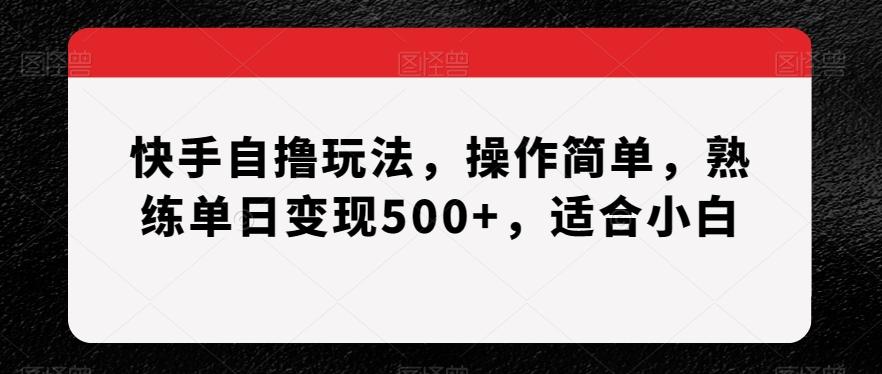 快手自撸玩法,操作简单,熟练单日变现500+,适合小白【揭秘】-猴哥VIP资源站