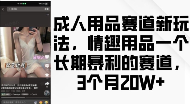 成人用品赛道新玩法，情趣用品一个长期暴利的赛道，3个月收益20个【揭秘】-猴哥VIP资源站