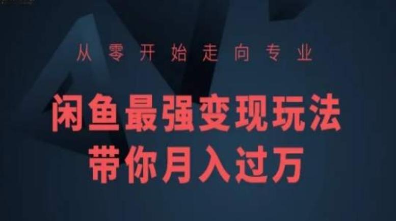 从零开始走向专业,闲鱼最强变现玩法带你月入过万-猴哥VIP资源站