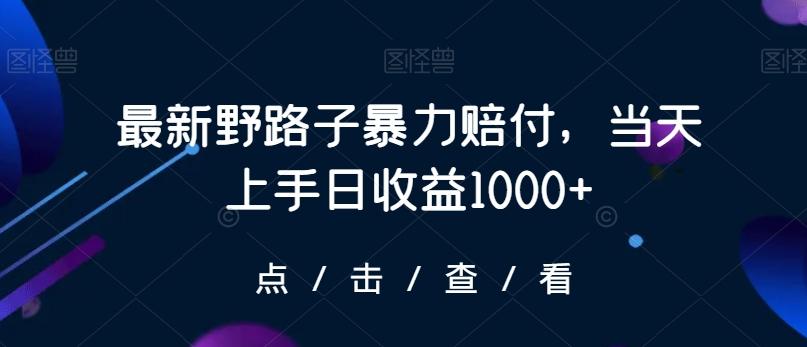 最新野路子暴力赔付，当天上手日收益1000+【仅揭秘】-猴哥VIP资源站