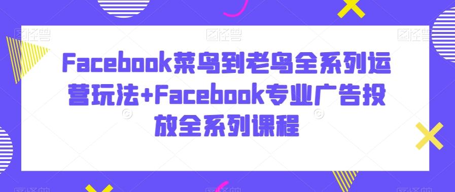 Facebook菜鸟到老鸟全系列运营玩法+Facebook专业广告投放全系列课程-猴哥VIP资源站