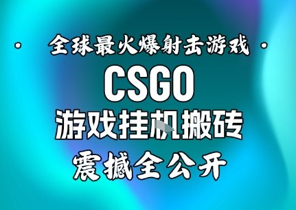 【年底大揭秘】基于全球最火爆的射击CSGO游戏挂G搬砖，日入5张+，震撼公开-猴哥VIP资源站