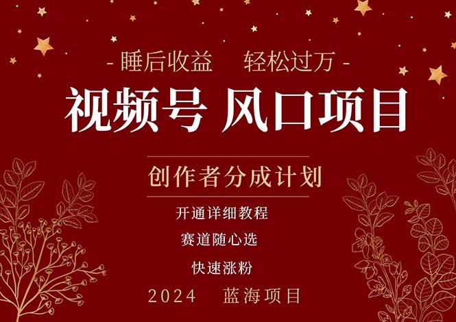 拥有睡眠收益的微信视频号大风口项目,轻松月入过万+,多赛道选择,可...-猴哥VIP资源站