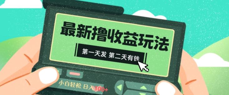 2024最新撸视频收益玩法，第一天发，第二天就有钱-猴哥VIP资源站